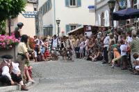 IMG_6372 (2) 